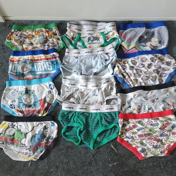 Carter's Accessories Set 2 Underwear Briefs 44t 45 Boy Animals